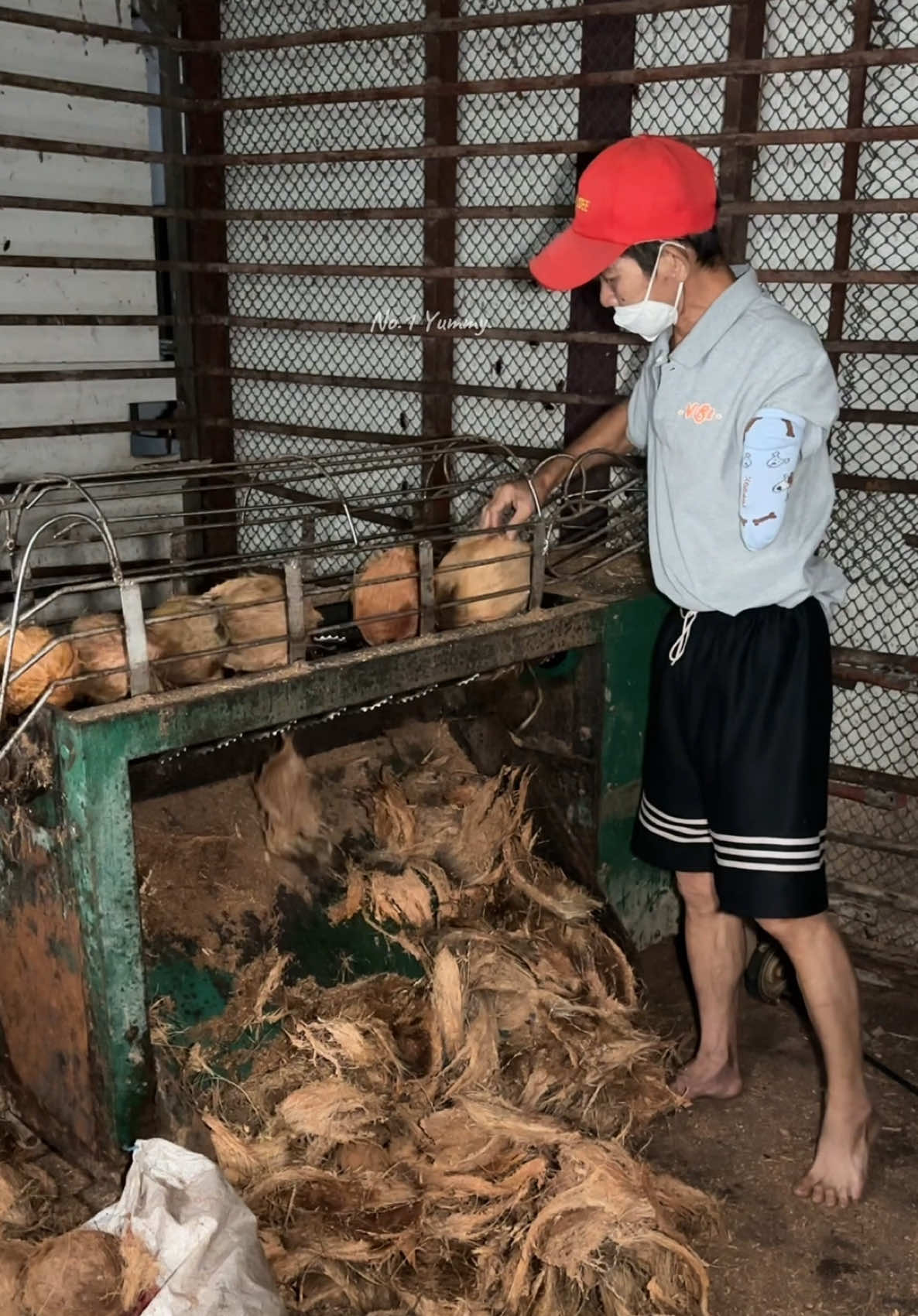 Amazing Coconut fiber peeling process. #fruit #fruits #asmr #fyp #fypシ #thailand 📍พิกัด :  ตลาดเมืองไหม่ (เมืองเชียงใหม่)