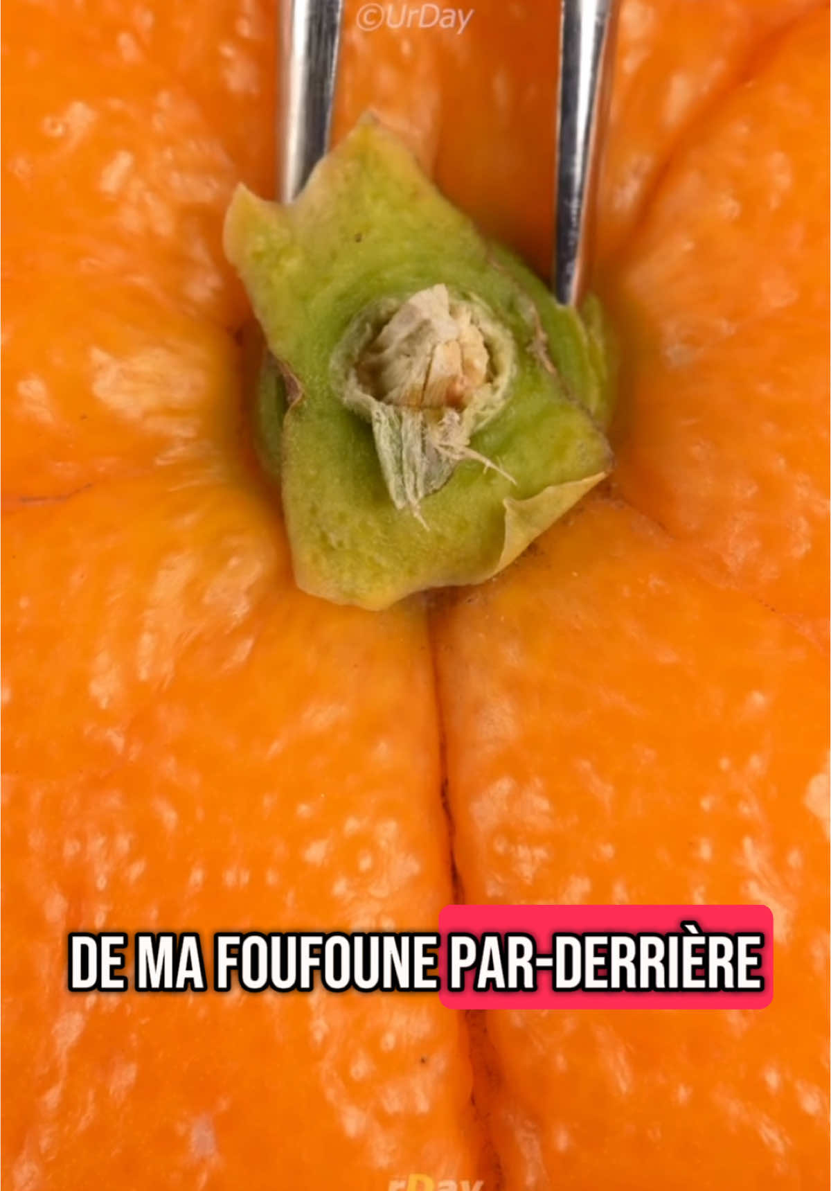 Quand elle se rend compte qu'elle a mis sa jupe à l'envers juste avant de sortir de la voiture... merci le miroir du pare-soleil ! 😅🤣 #CapCut #trajet #vacance #plage #histoire #histoirevrai  #penséedusoir #goviral #faitsaleatoires