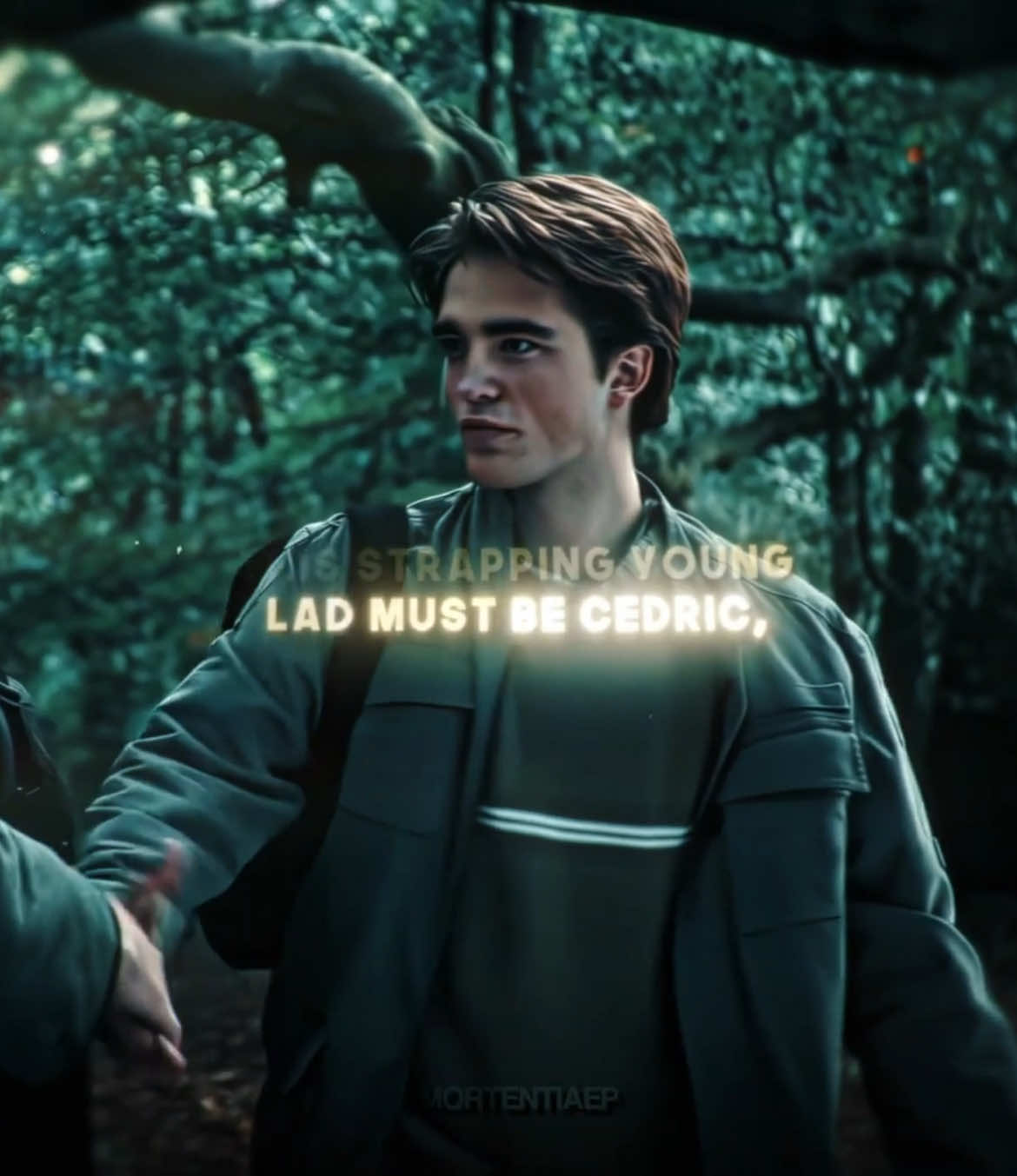 sir! | ac: @audios  #cedricdiggory #hufflepuff #cedricdiggoryedit #robertpattinson #robertpattinsonedit #harrypotter #harrypotteredit #fyp #viral #aftereffects #edit  #got 