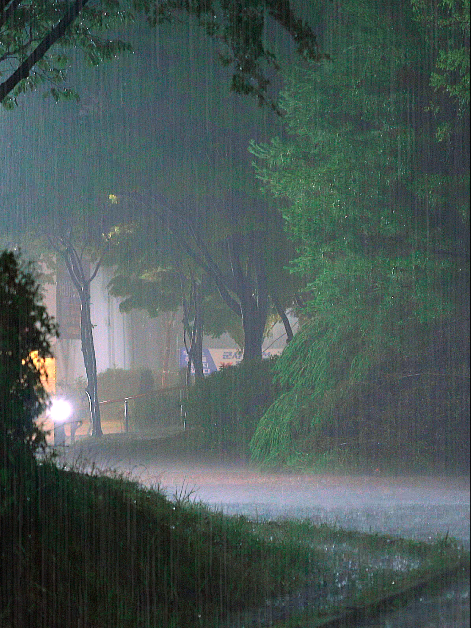 Heavy Rain Sounds For Sleeping - 99% Instantly Fall Asleep With Rain And Thunder Sound At Night #rain #rainsounds #rainsoundsforsleeping #heavyrain #relaxingvideos #asmr #sleeping #thunder #10minute #tiktok