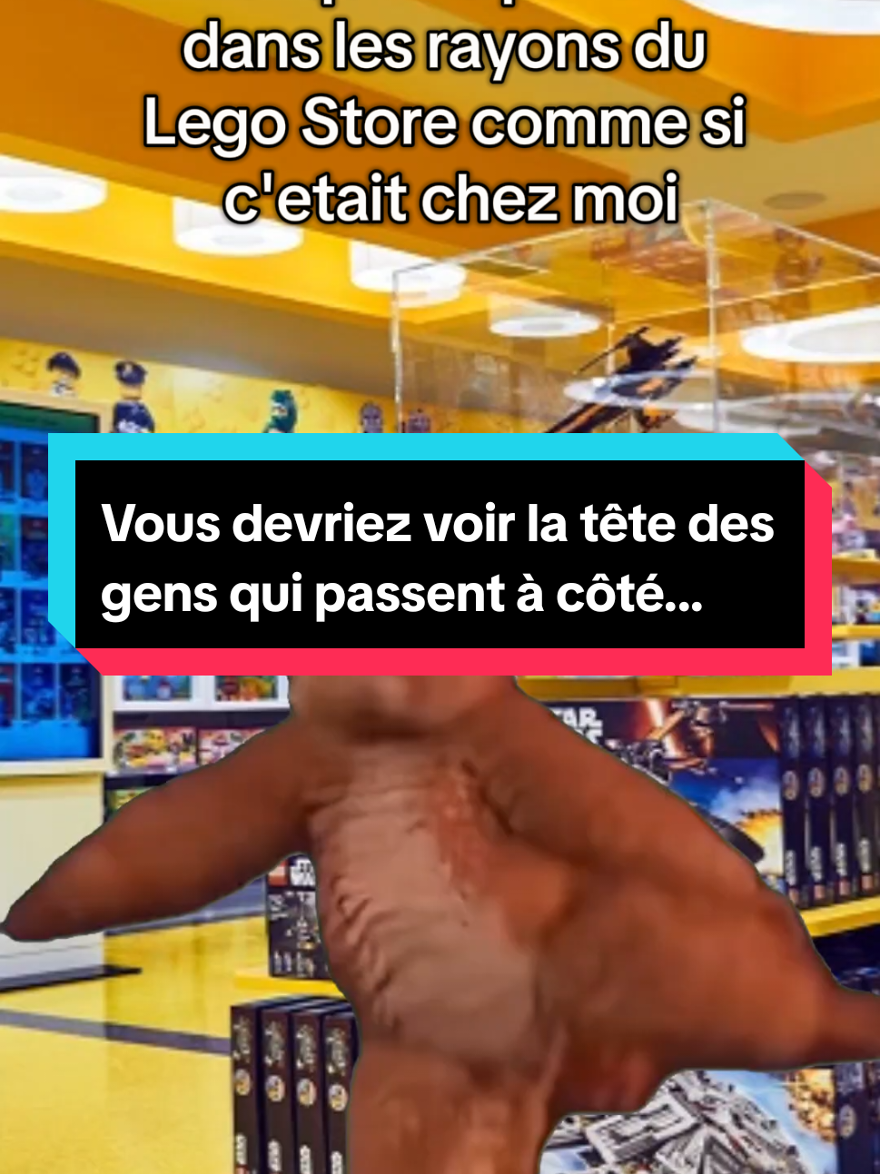 Mais j'ai toujours pas assez d'argent pour me payer tout ce que je veux ... #POV #positivevibes #afol #fyp #Meme #legotiktok #LEGO #viralvideos #CapCut 