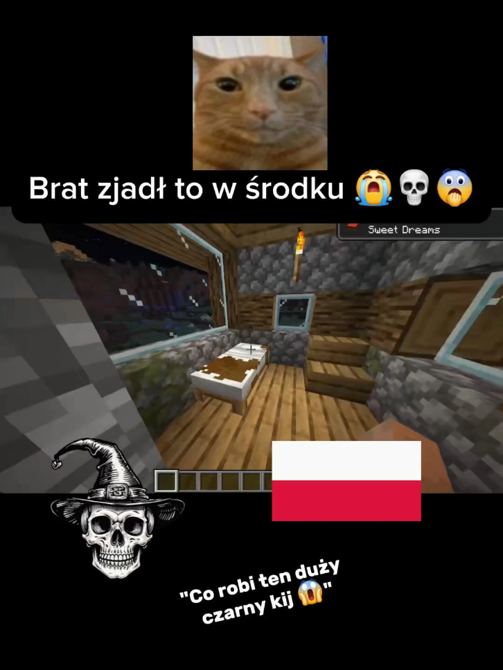 Po prostu idę spać #minecraftbuilding #minecraftmemes #minecraftmoment #minecrafttutorial #foryoupage #foryou #CapCut #dubbing #viral #dlaciebie #elevenlabs