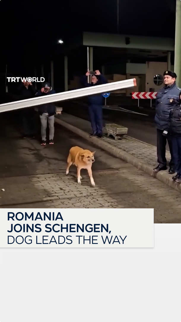 Romania has joined the European Union's Schengen area, and a dog was the first to cross the Romania-Hungary border freely.