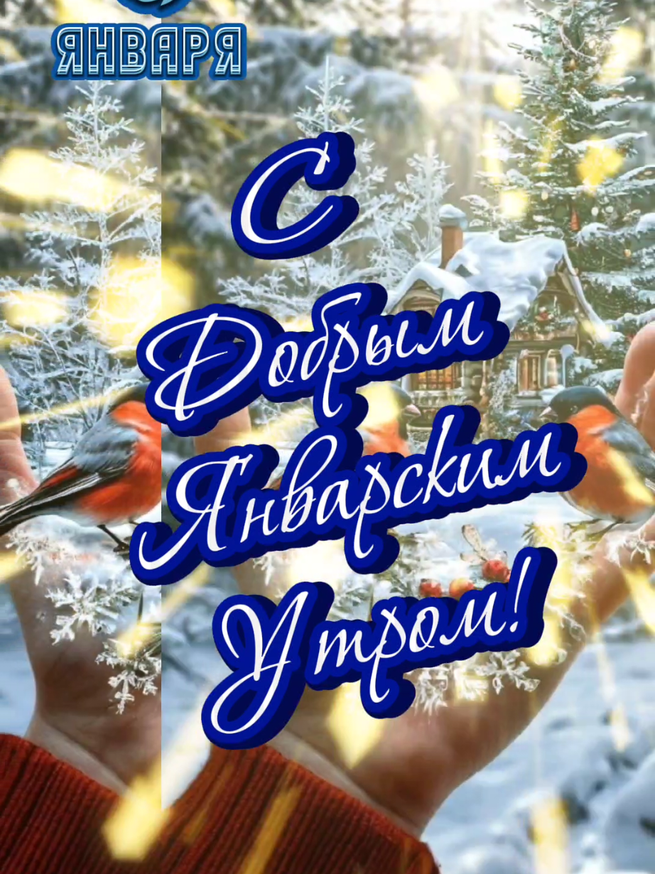 С Добрым Январским Утром! 3 января. #утренниепожелания #доброеутро #доброгоутра #зимнийприветик #утреннийпривет #открыткисдобрымутром #сдобрымутром #сдобрымянварскимутром #3января #владаалматы 