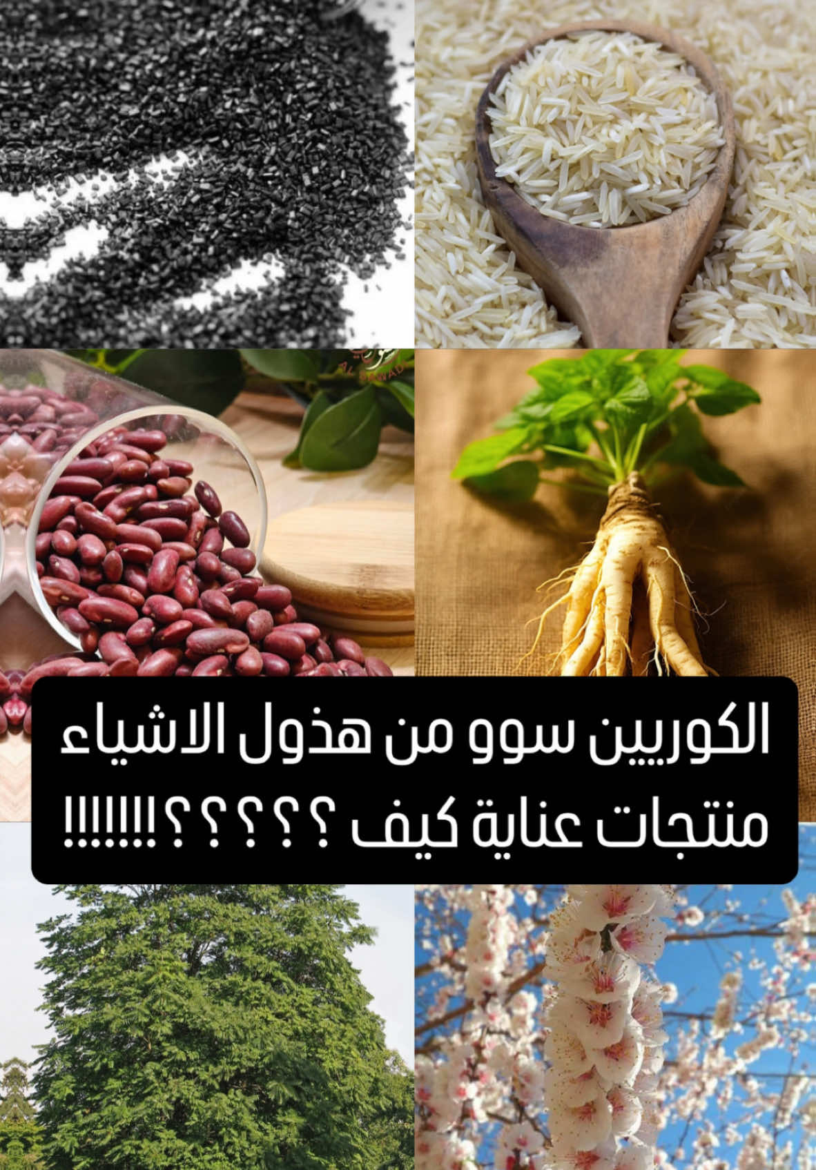 تعالو نشوفهم 😍 كلهم متوفرين بتطبيق هيلين لسهولة الطلب وبخصم مميز ولطيف 