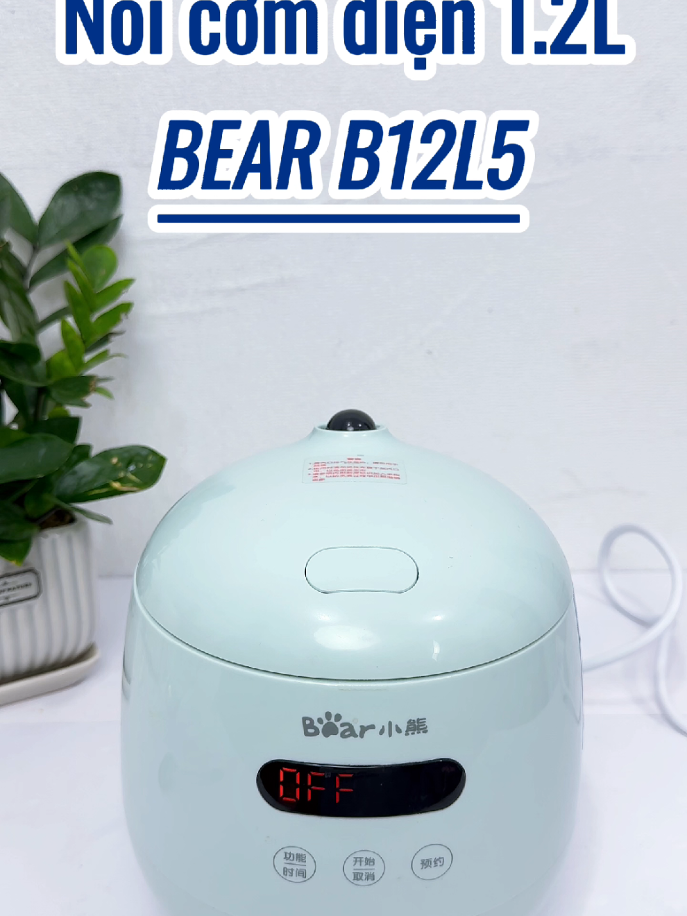 Nồi cơm điện mini Bear B12L5  #noicomdien #noicomdienmini #dogiadung #xuhuong #bearstorevietnam 