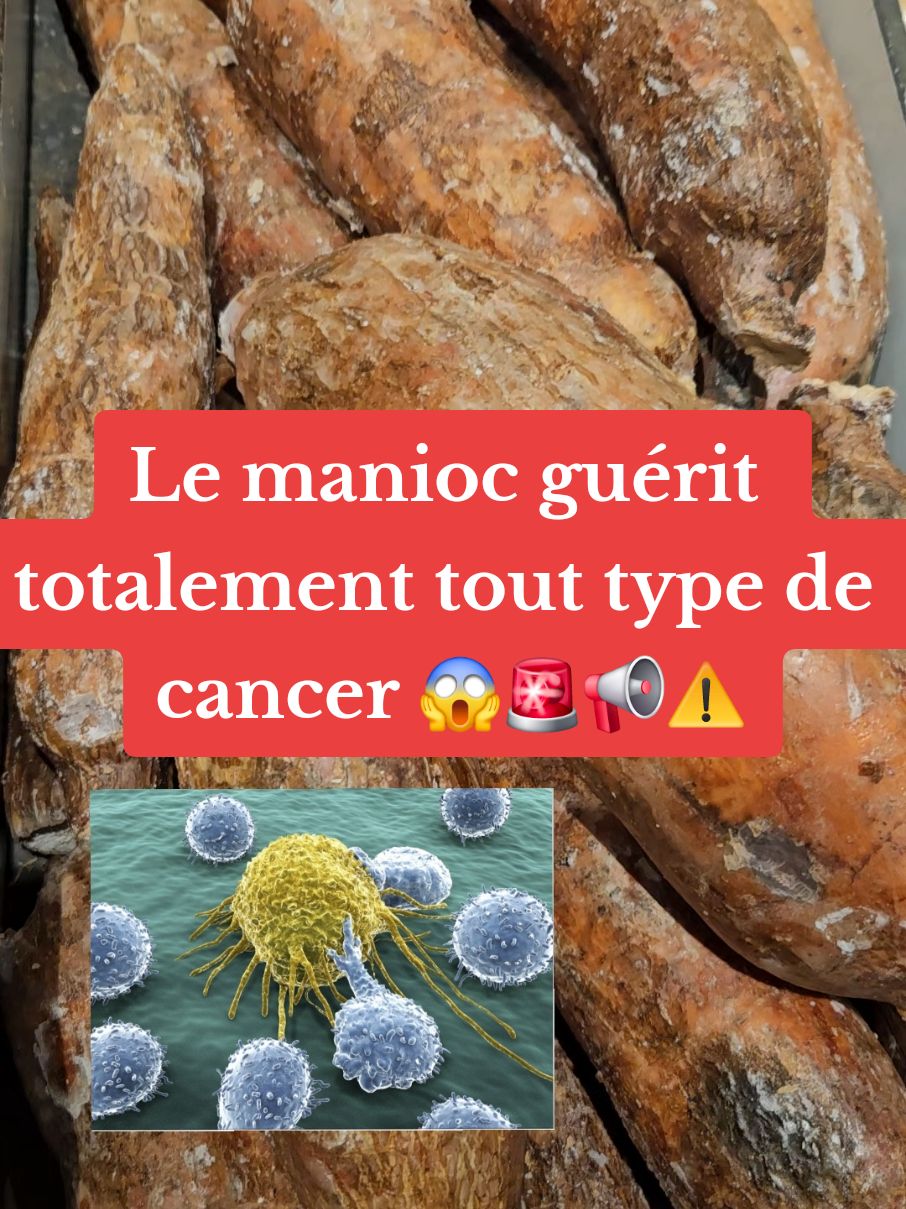 Le manioc guérit totalement tout type de cancer 😱🚨📢⚠️ #video #videoviral #flypシ #fb #pourtoii #fouryou #bio #remèdenaturel 