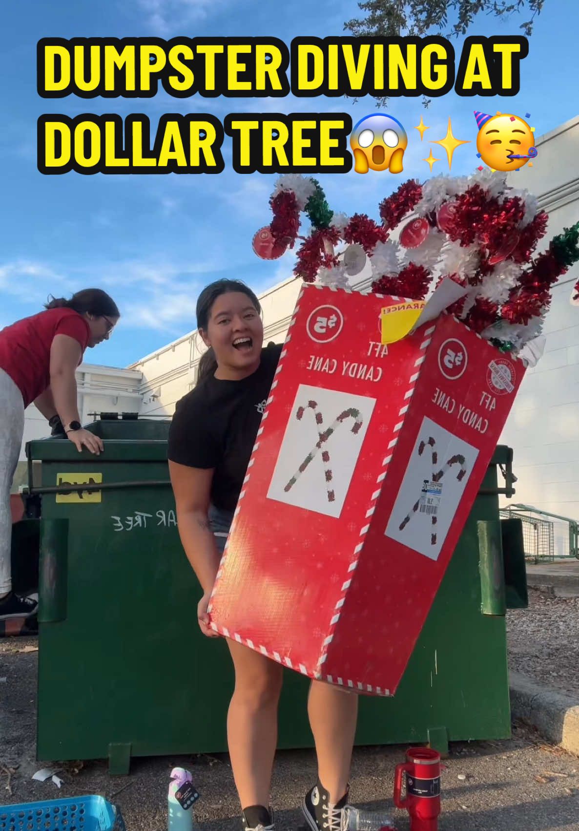 Went Dumpster Diving at Dollar Tree and Aldi and this is what i found!😱🎉🥳🎁 #dumpsterdive #dumpsterdiving #meldidumpsterdive #dumpsterdiver #dollartree #dollartreefinds #dollartreefinds #2025 