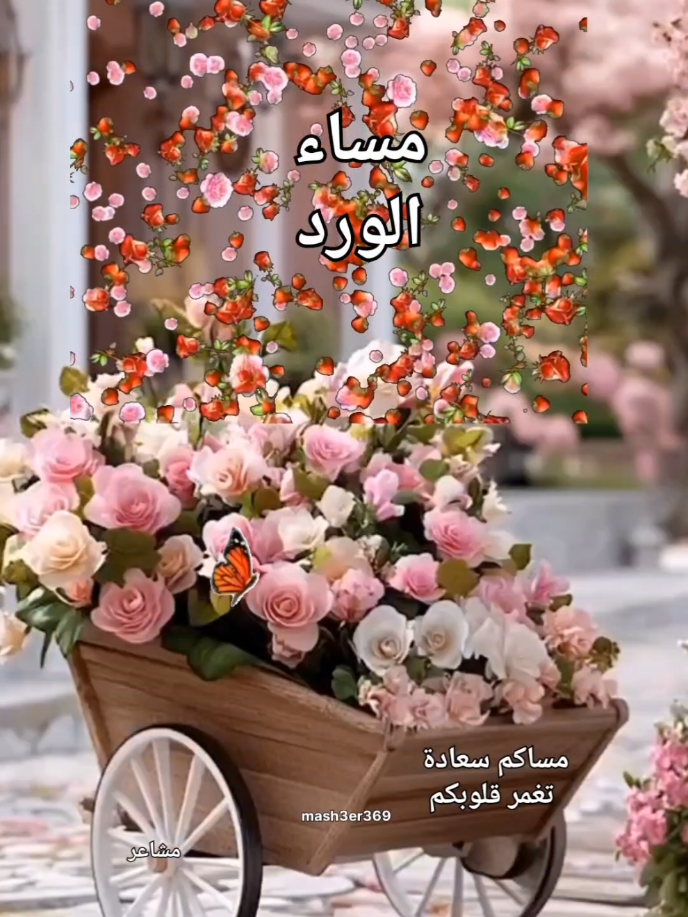 good evening, مساء الخير،مساء الورد، مسائيات، حالات مساء الخير #مساء_الخير #مساء_الحب_والسعاده #مساء_الخير_يا_وجوه_الخير #مساء_الروقان #مساء_السعاده #حالات #حالات_واتس #ستوريات #عرب #السعودية_الكويت_مصر_العراق_لبنان #النغرب_تونس_ليبيا_دبي_قطر #الاردن #تركيا  #story #foruyou #tik_tok #tiktoknews #CapCut @مشاعر 