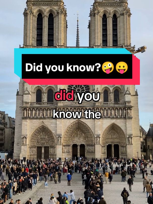 Did you know?😛🤪 #facts #funfacts #didyouknow 