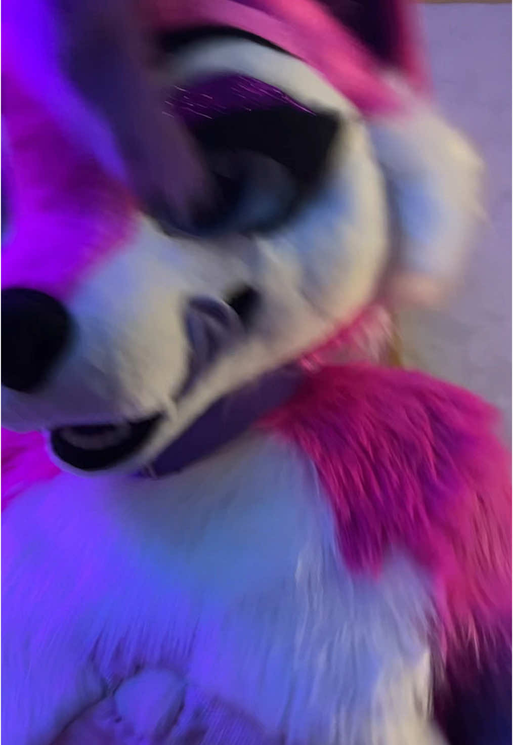 💖💖💖 #furryartist #cuteniss #pinkfurryyyy #gurl #prettygirls #fullsuit #fullsuit #furryfandom #fyp #furryforlife #tailwags #furrygirls #kemono #obssessed #furrylife 