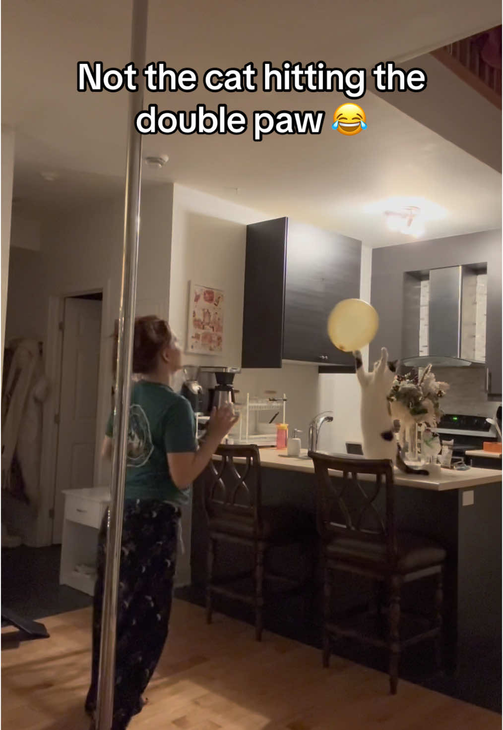 😂😂😂 (via @livvrose98) #catsoftiktok #keepup #game #cat 