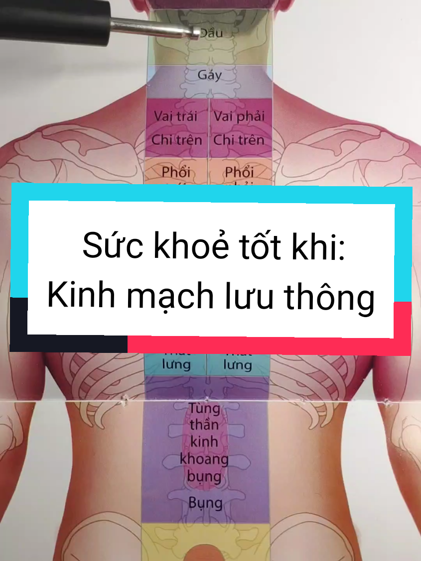 Sức khỏe tốt khi kinh mạch lưu thông. #suckhoe #xuhuongtiktok2024 #happynewyear #xuhuongtiktok2025 #thatvidieu #sachyhoc #thaomoc #thaoduoc 