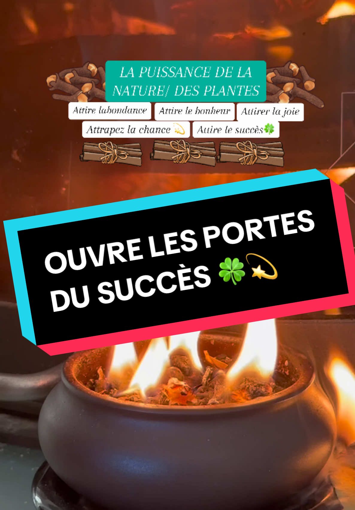 Attirer l'abondance avec les feuilles de laurier #abondance #change #etatsunis #lucky #nature #pt #poutoi #fyp #f #naturel #astuce #voeux #argent #envoutement #blocage #spirituel #abondance #purification #bain #attirance #drakafelix🍀 #cinnamon #clove