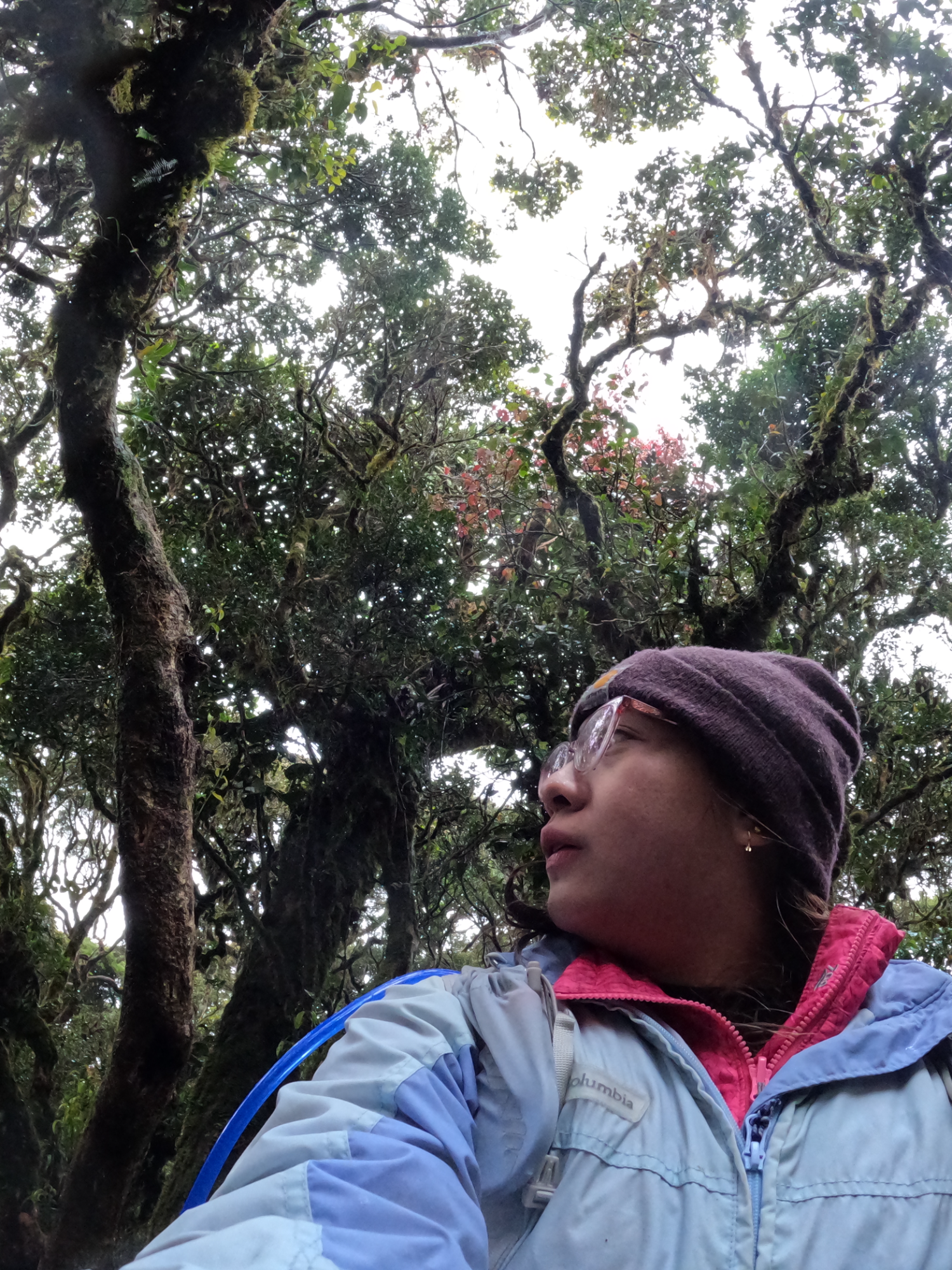 Second climb to Mount Pulag: way colder, wetter, and tougher, but so much fun with this amazing group! Didn’t expect to feel so at home with fellow hikers <3 🏔️❄️ Tour: @ryanmanalodelgado  #MountPulag #HikingAdventures #SoloJoiner #hiking #fyp