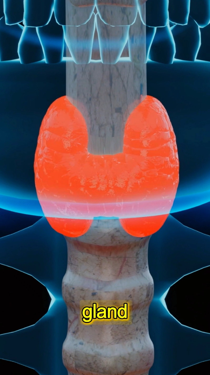 how thyroidits occurs? #thyroid #cancer #medical #3danimation #trending #viral #healthyliving 