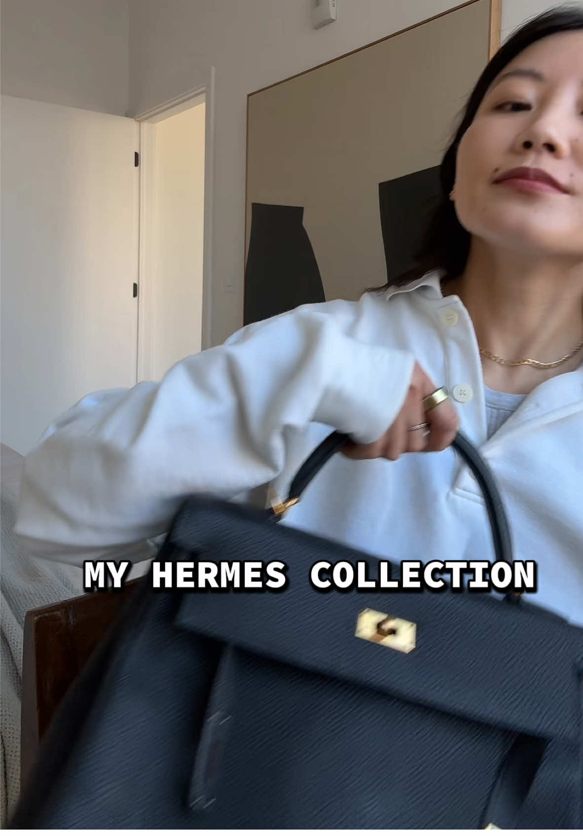 2014 was my 🔥 year of hermes 🥹  #hermeskelly #hermesconstance #hermeshalzan #hermes 