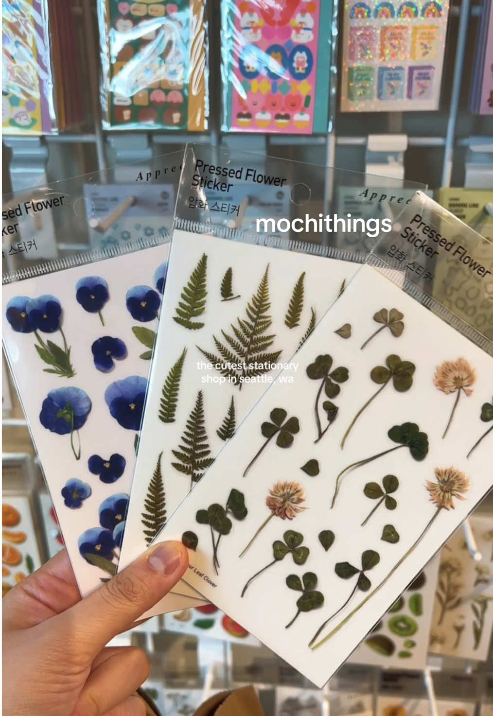 As we start off 2025, this stationary shop is the perfect place to grab some stickers and notebooks for a new year of journaling 💕📗 📍mochithings #mochithings #stationery #stationeryhaul #stationerylover #seattle #seattlelife #seattlewa #fyp 