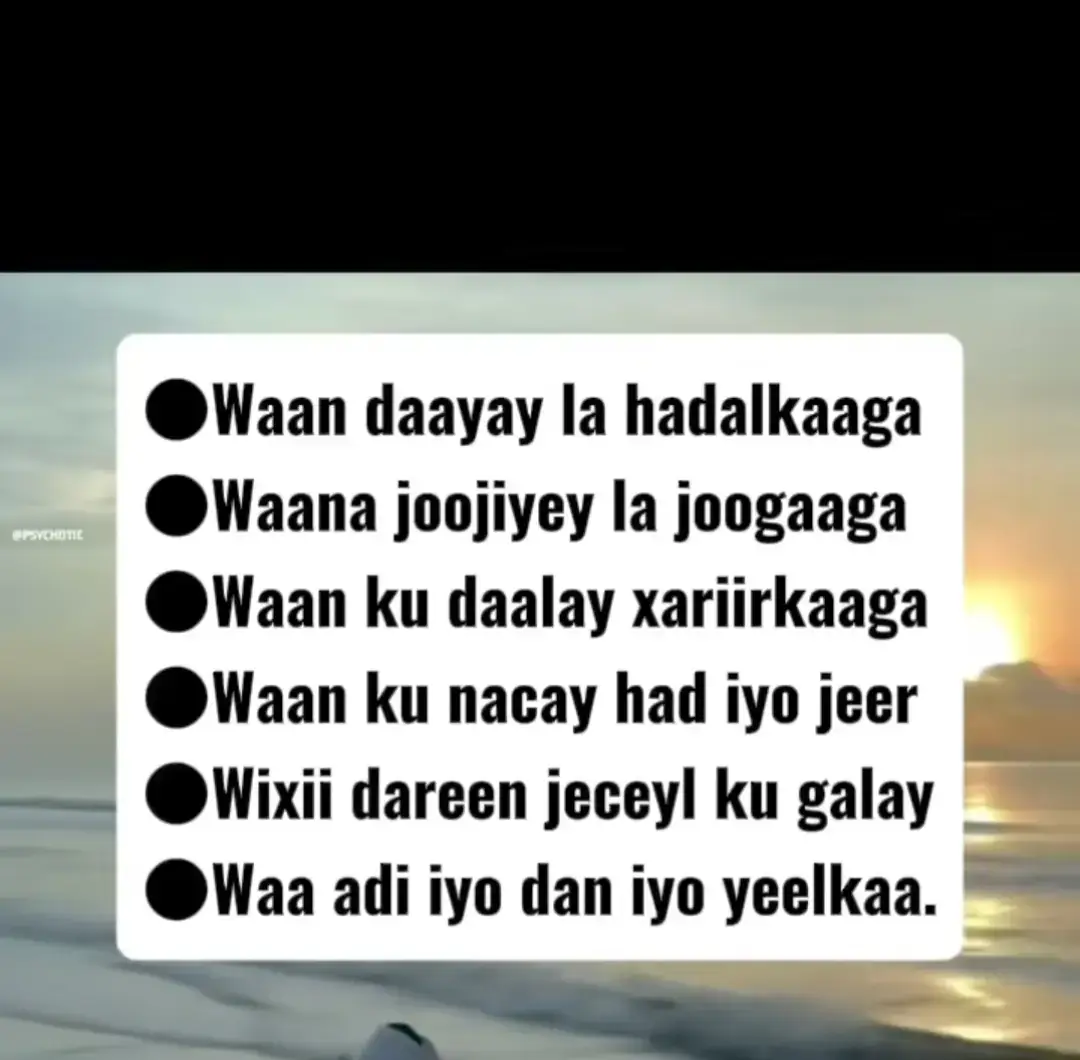 waan daayay la hadalkada #fyp #foryoupage #fypシ゚viral🖤tiktok #fypシ゚ #fürdich #fyppppppppppppppppppppppp #freefire #fypsounds 