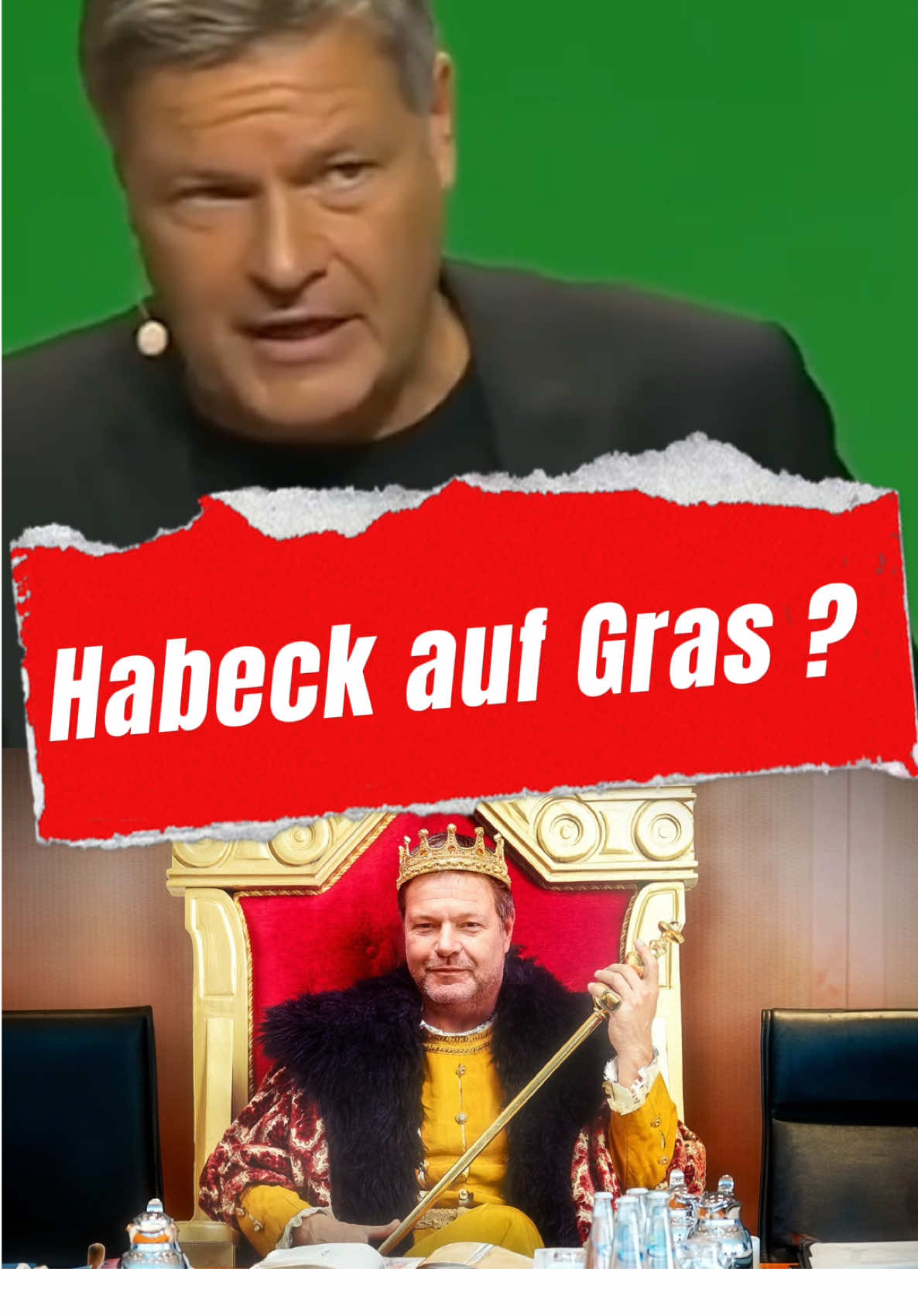 ❌DAS MUSST DU SEHEN❌  #roberthabeck #afd #bundestag #poltik #olafscholz #friedrichmerz #aliceweidel #wagenknecht #lindner 