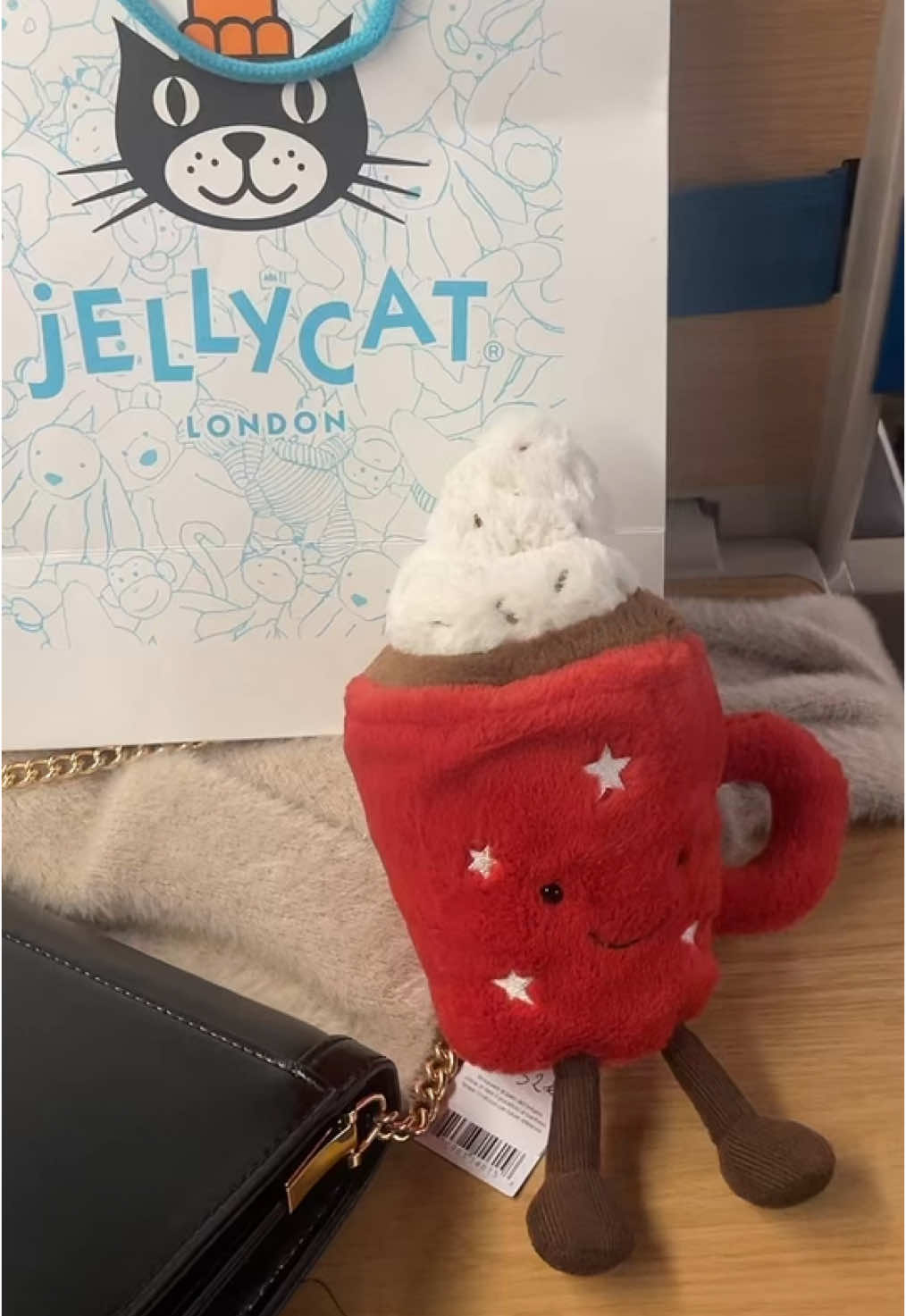 Malaise voyageur dans le train mais bien accompagnée 🫶🏻 #jellycat #jellycatlondon 