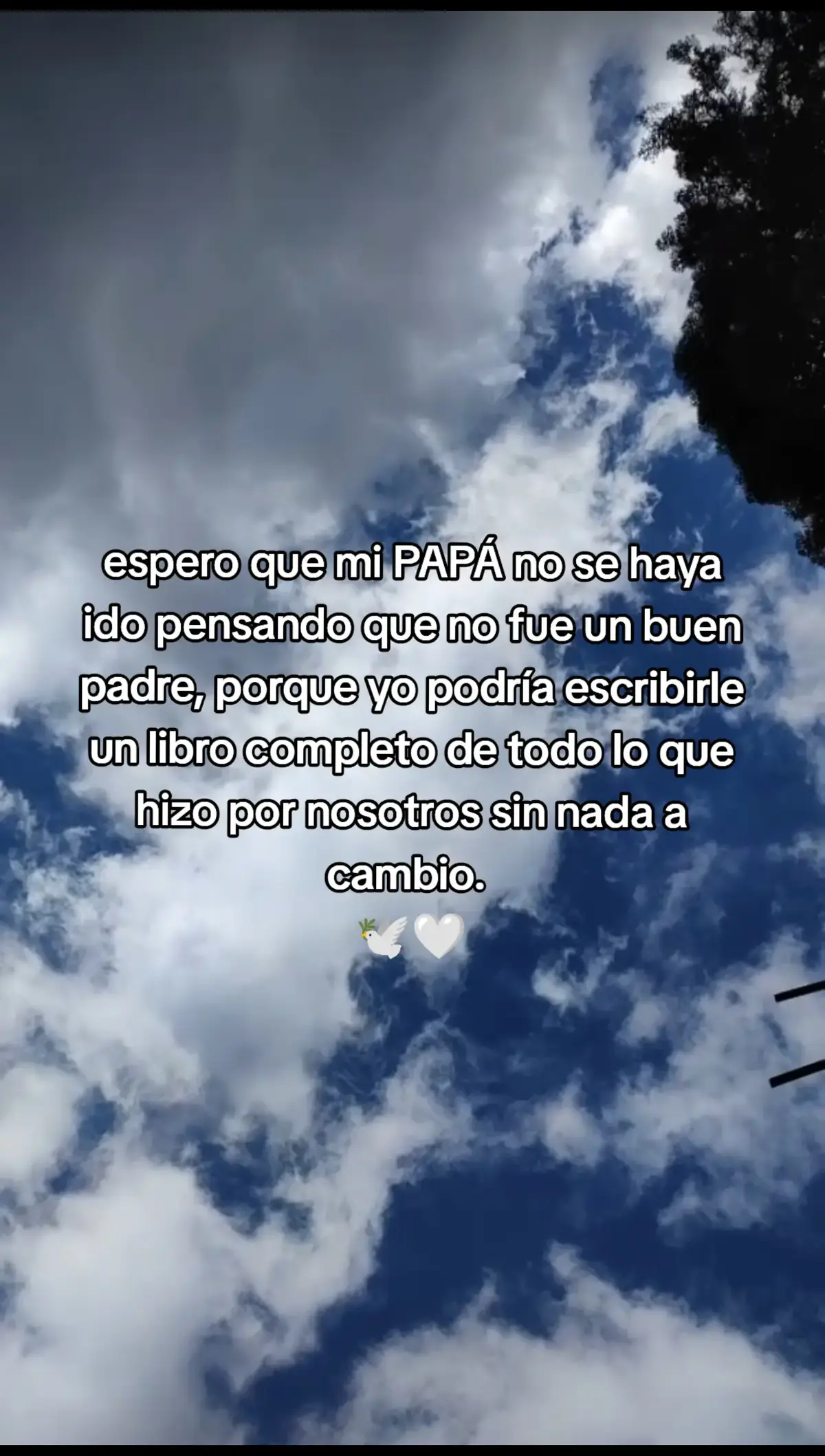 #amoreterno #hastaelcielo #papá #teextraño #teextrañomucho #vuelaalto #💔🕊️ #paratiiiiiiiiiiiiiiiiiiiiiiiiiiiiiii #angelenelcielo🕊♥️ 