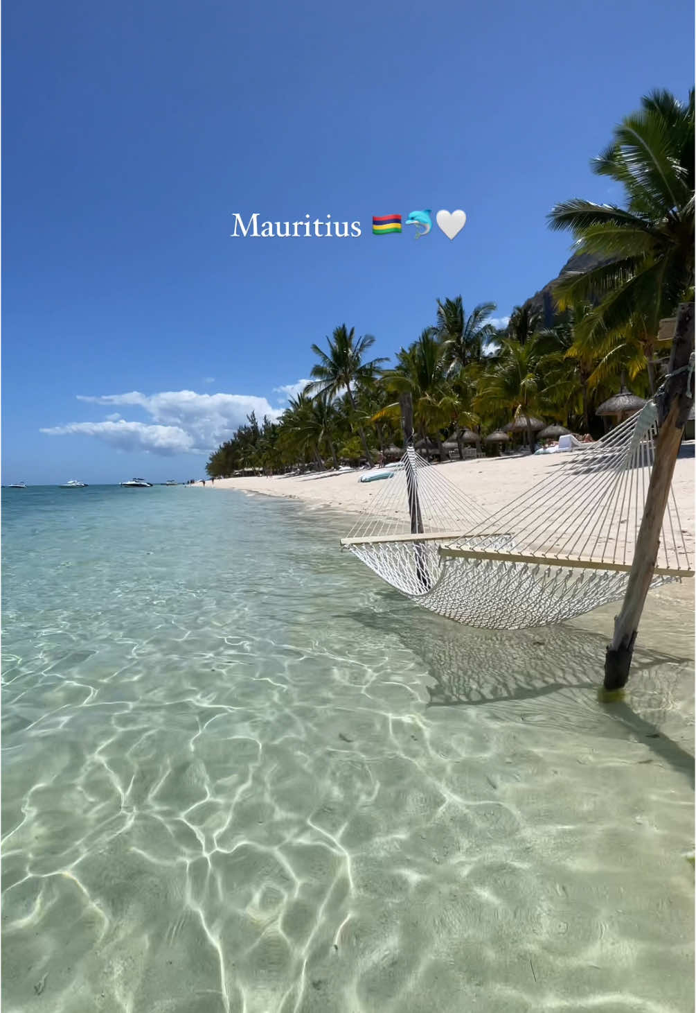 This is Mauritius 🇲🇺🥥🌴💚 #mauritius #maritius🇲🇺 #tropicaldestination #dreamdestination #africa #dolphin #turtle🐢 #ilemaurice #travel #traveltiktok #visitmauritius #sevencolouredearth #lemorne #lemornebrabant #lemornebeach #chamarelwaterfall #chamarel #trouauxbiches #ileauxcerfs #portlouis #underwaterwaterfall 