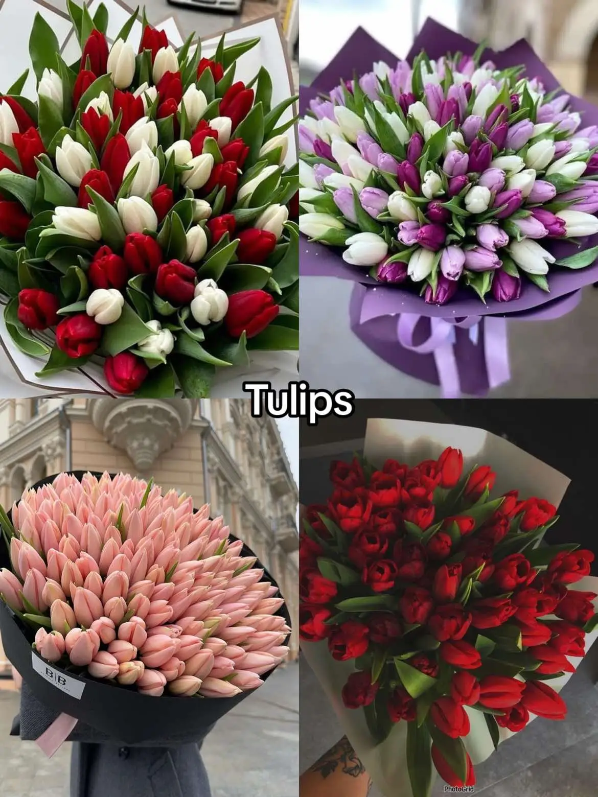 #tulips #tulipbouquet #bouquet #flower #flowerlover😍😘💑🌸🌻🌹💗 #flowerlovers #flowerlover #fypp #fyppppppppppppppppppppppp #fyp #bouquettutorial #flowers🌼🍁🌸 #redtulip #flowerbouquet #anthophile🌹 #anthophile #roses #rose #rosebouquet #lilie #sunflower #peonies #hydrangeas #chrysanthemum #hibiscus #plumeria #carnation #marigolds #florist #florista #floristsoftiktok #floristry #wedonttalkanymore #foryoupage❤️❤️ #foryoup 