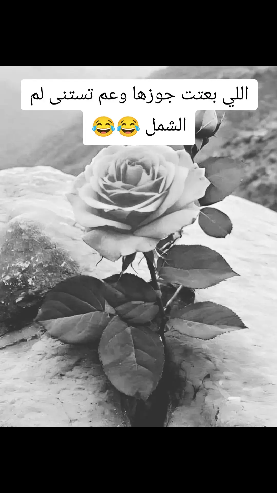 #اضحك_من_قلبك 