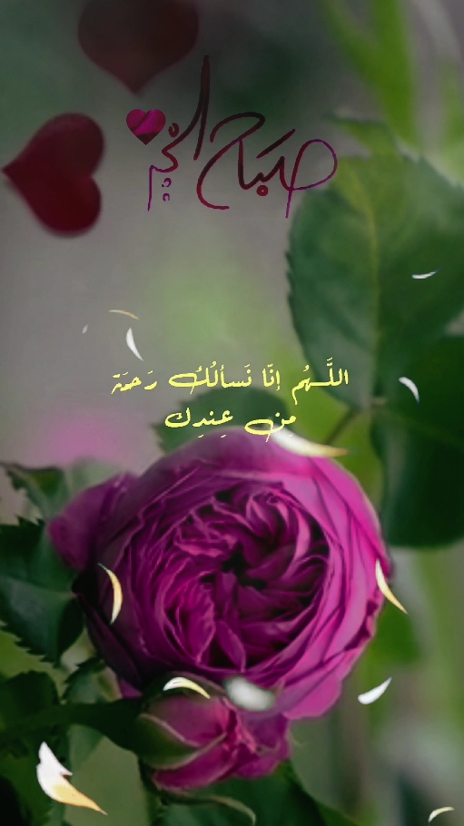 اجمل دعاء الصباح صباح الجمعه  #دعاء_الصباح #صباح_الخير #صباحكم_أحلى_صباح #اسعد_الله_جميع_اوقاتكم🌹🌹 #دعاء #يوم #الجمعه #دعاء_يريح_القلوب #اللهم_امين #حالات_واتس #ستوريات #foryoupage #fyp #viral #ArabTikTok #doa #g @Symba 