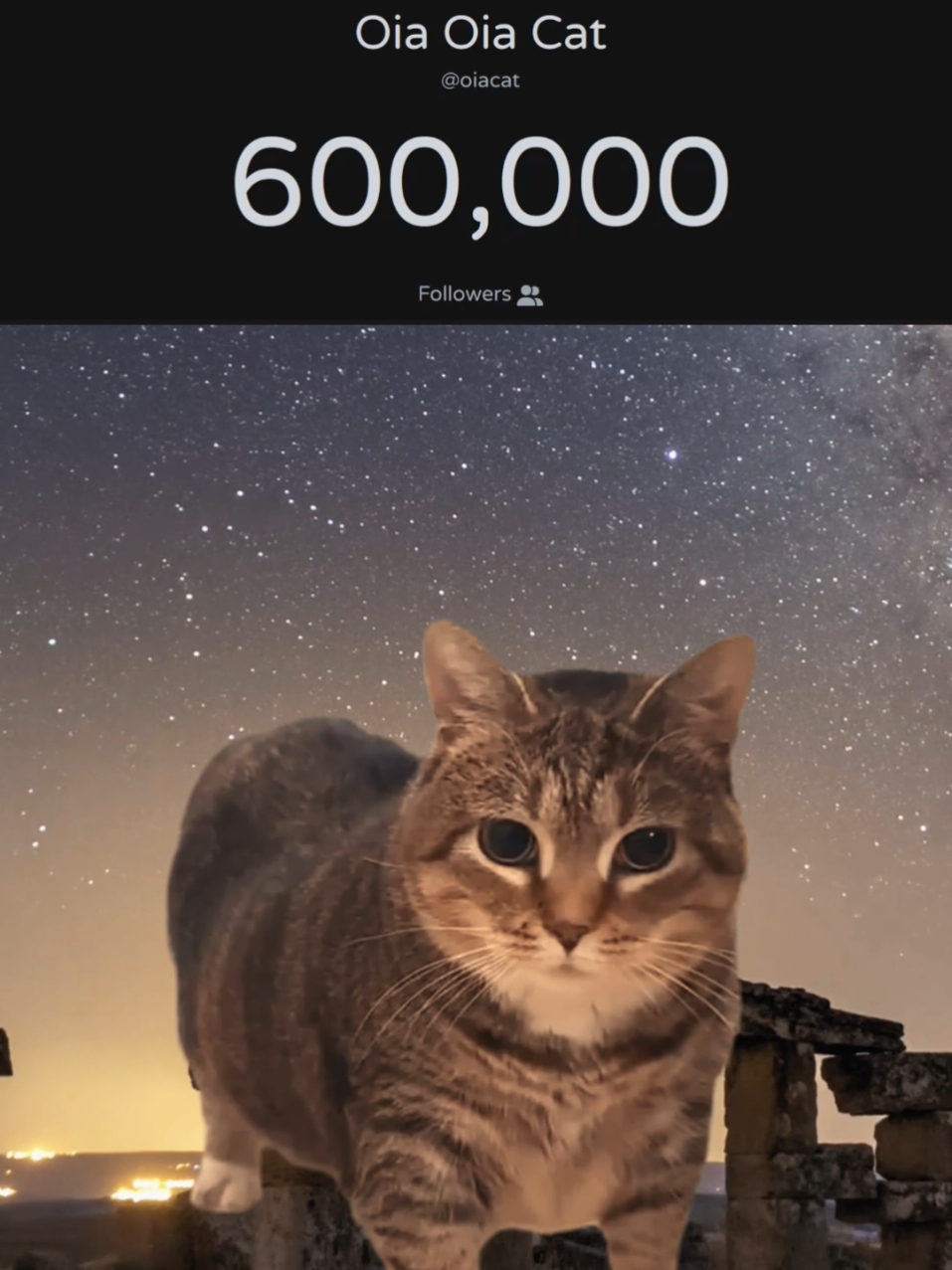 Thanks for 600K OiaFans 😽🫰💚 #happy #catlover #cat #meme #oiacat #trending #oiaoiacat #foryou #music  #catsoftiktok 