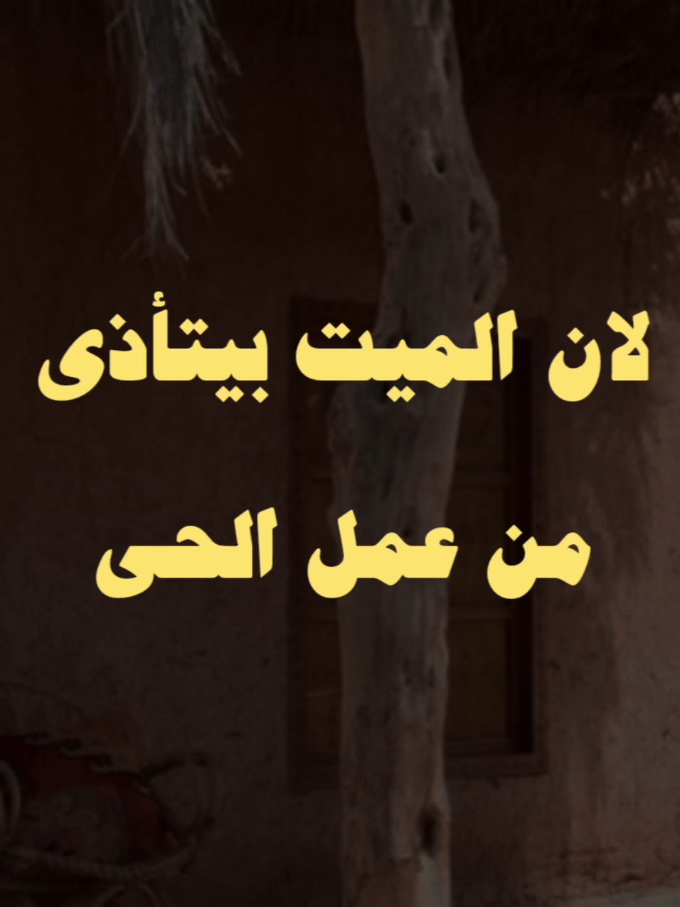 الميت بيتأذى من عمل الحي.. 🖤🫀 #صلي_علي_النبي #صلوا_على_رسول_الله #الشيخ_كشك #الشيخ_كشك_رحمه_الله 