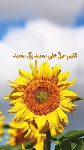 #اللهم_صل_على_محمد_وآل_محمد #صبحك_الخير_الجلي_وانبلاج_الاملي #صبحك_الخير_الجلي_وانبلاج_الاملِ #صبحك_الخير_الجلي 