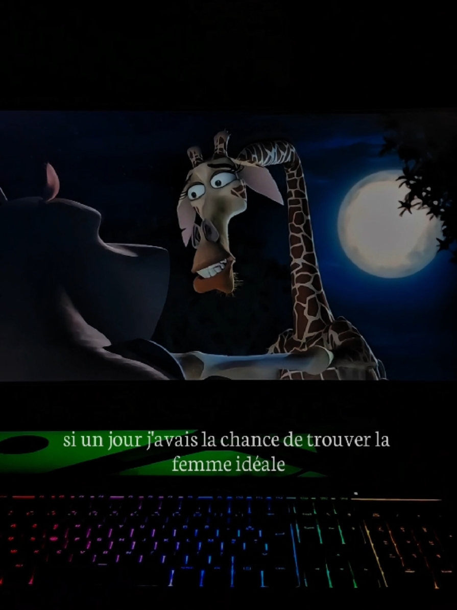 si un jour j'avais la chance de trouver la femme idéale... #anime #madagascar2 #animeedit #sad #citation 