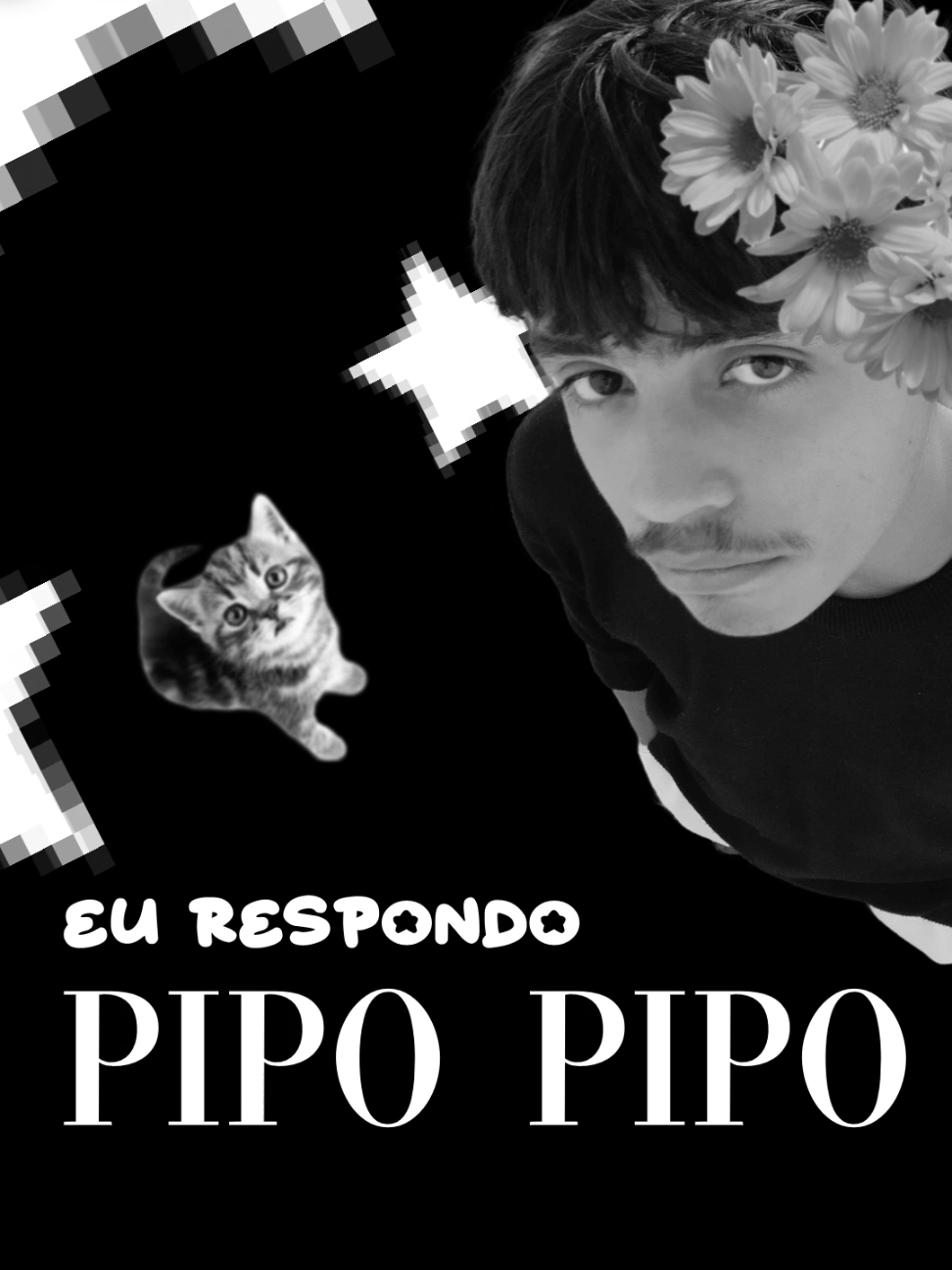 a rapaziada n pode saber #songs #song #edit #edits #lyrics #lyric #music #musics #pipo #meme #fofo #letras 