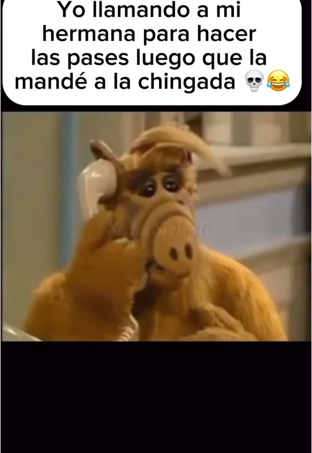 @ a tu sister 😆 // 🎥: NBC #sister #latinasister #jajaja #alf #latinosbelike #latinosenusa #latinosenestadosunidos #latinofamily #familia #omg #alfseries #hermanas #hermana #comedy #sitcom #somosmemes