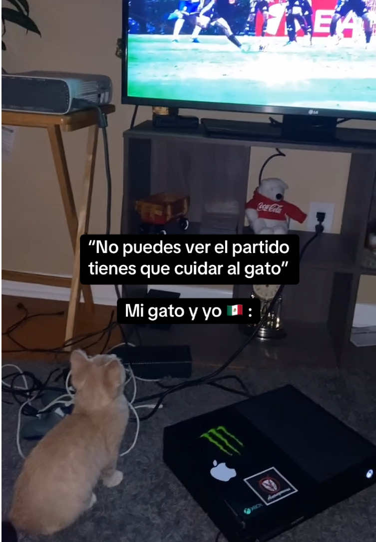 Los dos somos futboleros 😂🇲🇽⚽️ #catsoftiktok #cats #gatos #gatosdetiktok #seleccionmexicana #futbol #mexico 