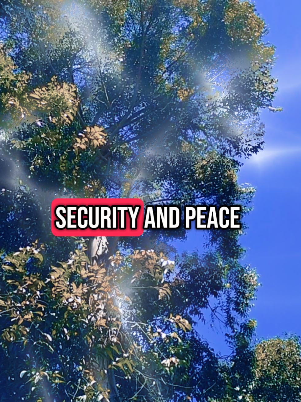 He will give you the security and peace  #2025 #security #peace #fyp 