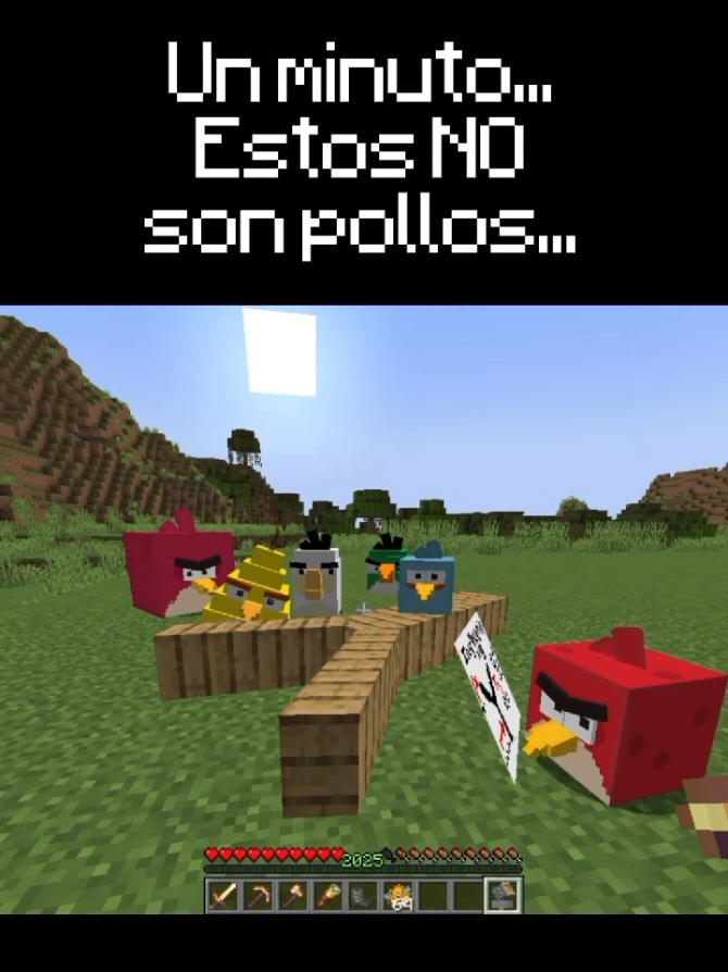 Pájaros enojados, no quieren volar, porque nadie vino hoy a ayudar . . . #fyp #fypシ゚ #Minecraft #minecraftonly #minecraftfyp #minecrafttiktok #minecraftmemes #angrybirds #nostalgicgames #games 