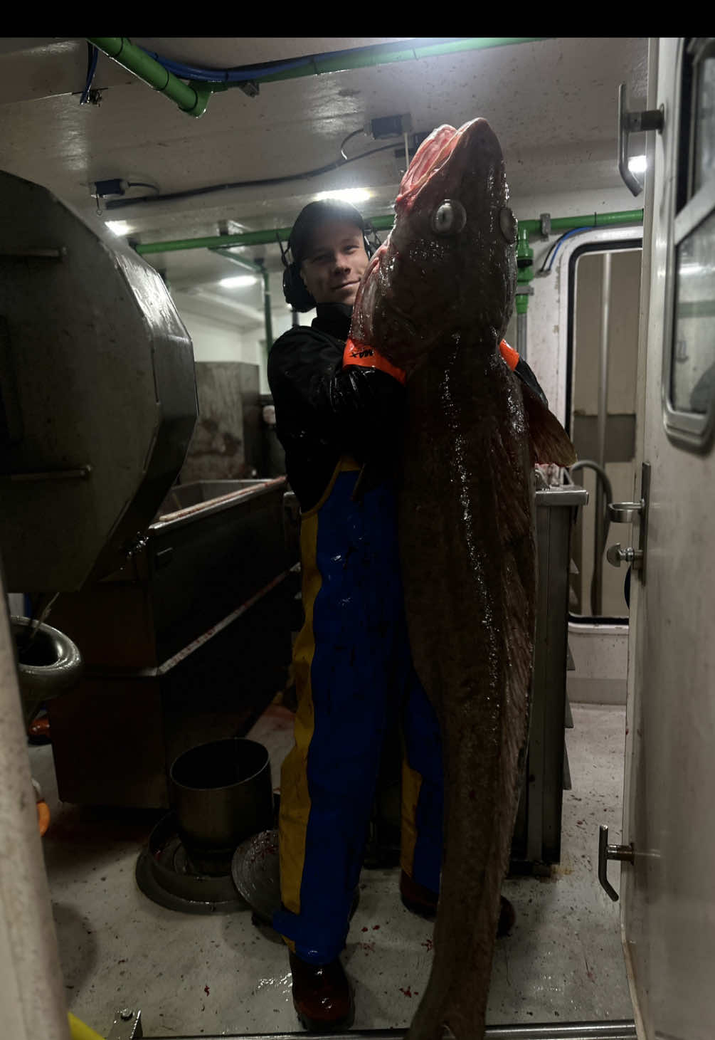 Deep sea night fishing #longline #comercialfishing #iceland 