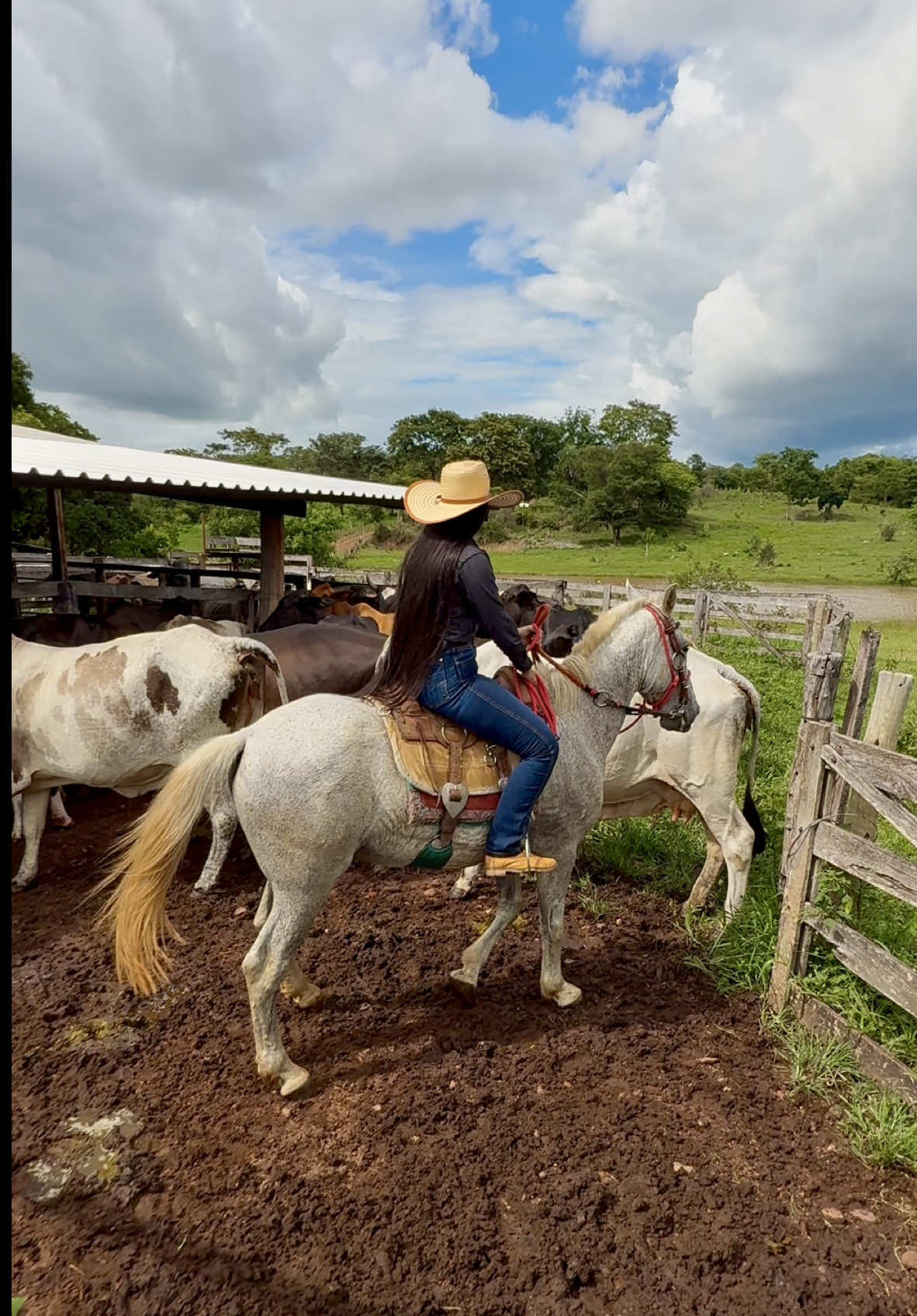 Amo a vida na roça 🤠 . #roça #fazenda #roca #cavalo #horse #amor #sela #gado #chapeu #curral #natureza #terra #bezerros #cabelodossonhos #cabelao #porteiras #vidanaroca #simplicidade #caipira #rustico 