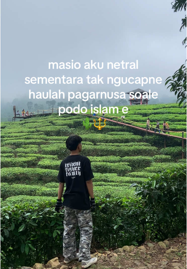 🤗🤩 #pagarnusa86💚🔱 #pagarnusaindonesia #harlah #pagarnusa 