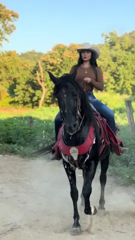 🫡🐴 #cowgirl #countrygirl #horses #caballos #caballosbailadores #caballostiktok #ranchito #fyp #livingonaranch #cowboytrend #kandyalejandra #viral #muchachadecampo 
