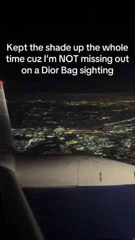 Lots of Dior bags in the sky #dior #bags #fyp