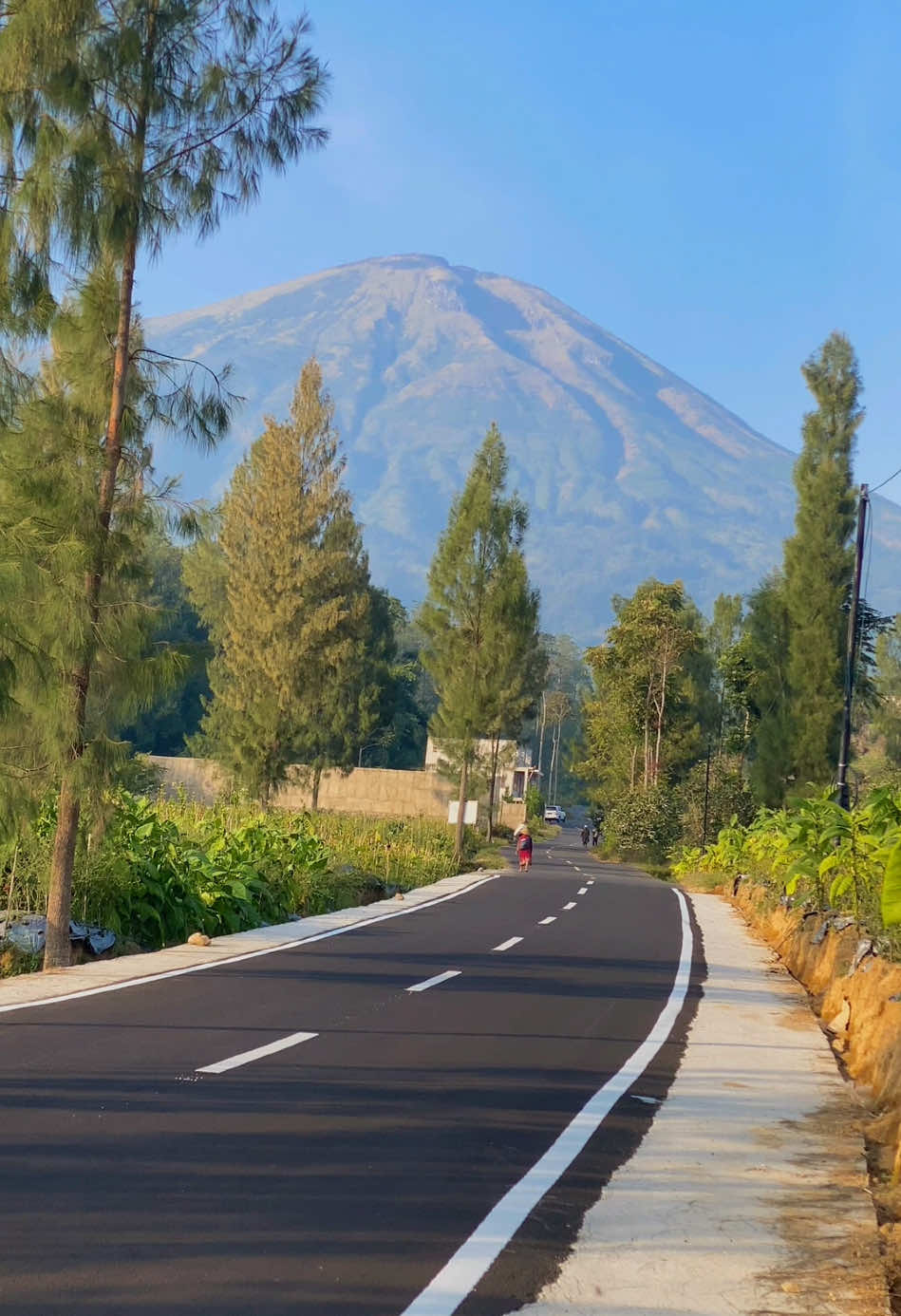 Kalau ke Dieng lewat jalur ini pasti berhenti dulu disini untuk menikmati pemandangan alam yang indah 🍃⛰ 📍Tegalrejo, Ngadirejo, Temanggung  #jalurdieng #pemandanganalam #gunungsindoro #fyp 