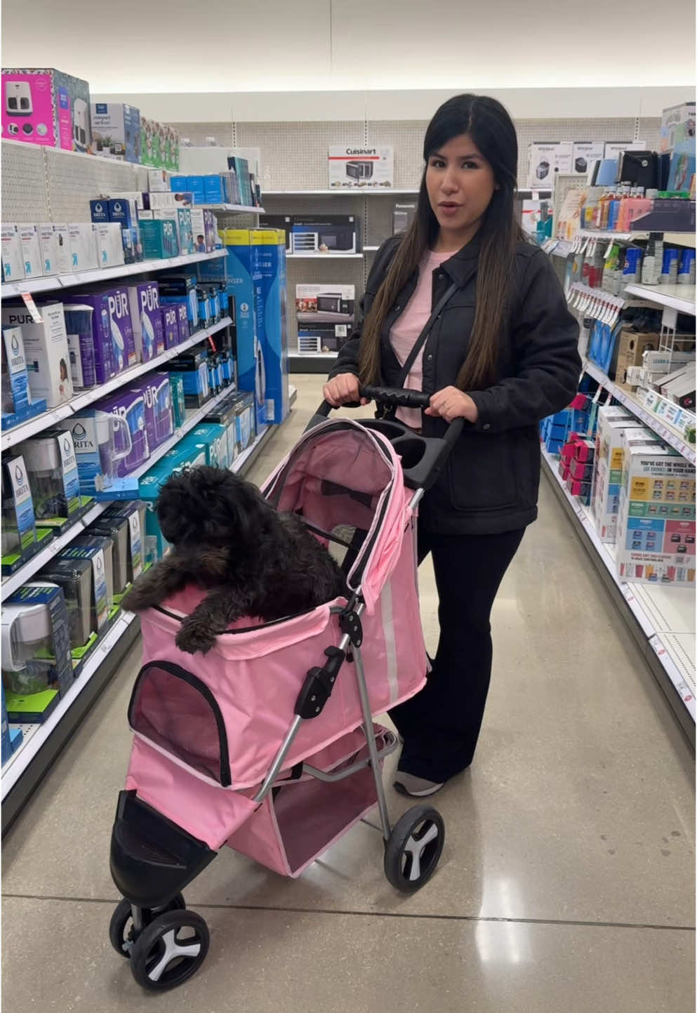 Nova loves to be outtt and shop lol 🐾💗 #furbaby #furbabylove #dogsoftiktok #dogmom #dogmomlife #fypシ #fypシ゚viral 