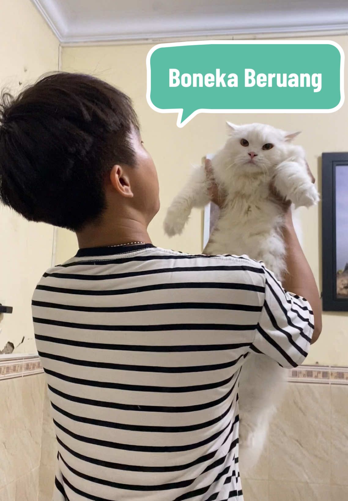 Bulu super Lebattttt 🔥 . . #bulukucinglebat @Elope #ohfish #minyakikankucing #minyakikan #fypシ #viral #elopeofficial #vitaminkucing #vitaminkucinggembul 