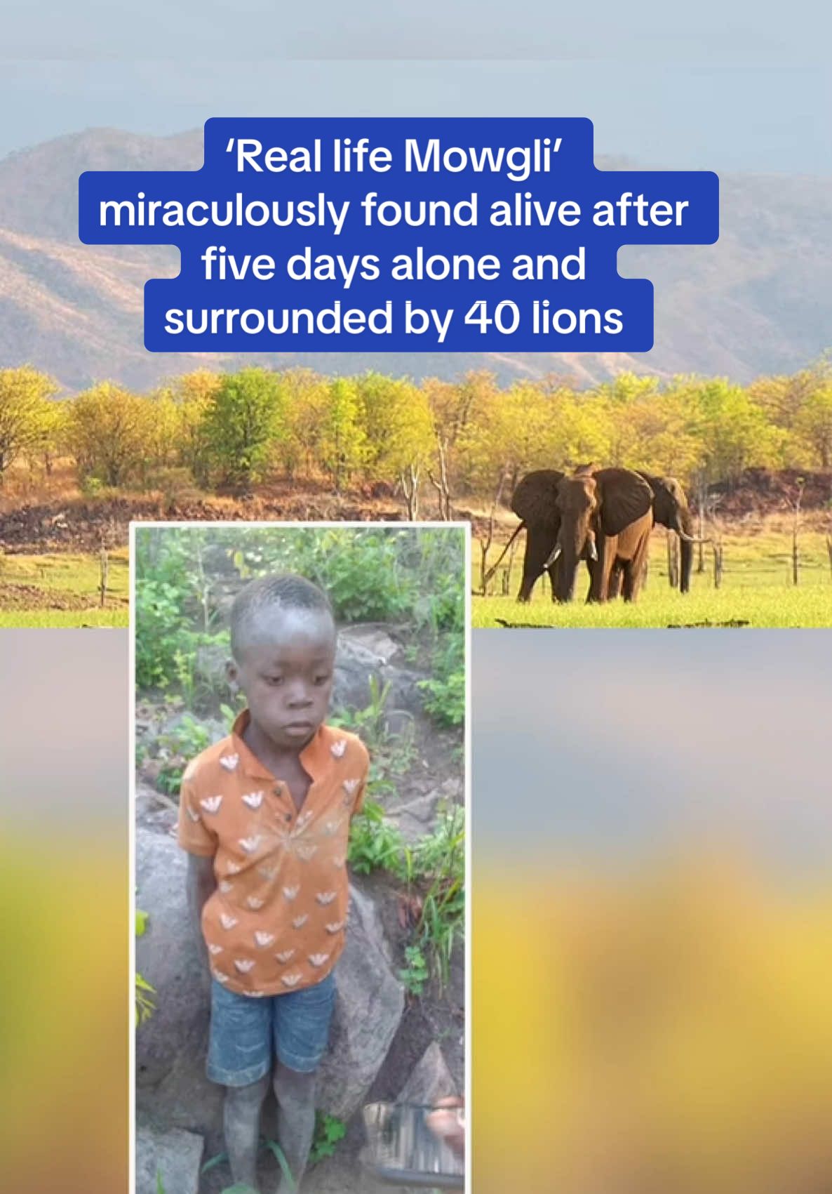 Thanks to crucial survival tips he was taught 😮 #lions #wild #wildlife #africa #survival #africa #survivaltips #boy #miracles #clever #dailymail #fyp #australia 