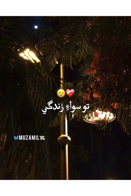 TO SIWA ZINDGI-🫶🏻🥺❤️‍🩹🔐 Repost Request🕊❤️ Reach down🥲🥀 #viralvideo #sindhisong #foryou #trending #fyppppppppppppppppppppppp 