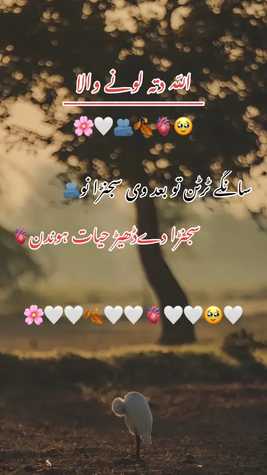 سانگے ٹرٹن تو بعد وی سجنڑا نو🫂#viralvideos #viralaccount #viralaccoun #foryoupage❤️❤️ #unfreezemyaccount #viral_video #underreview 